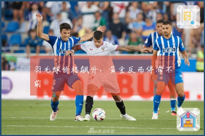 羽毛球价格飙升，黄金反而停滞不前