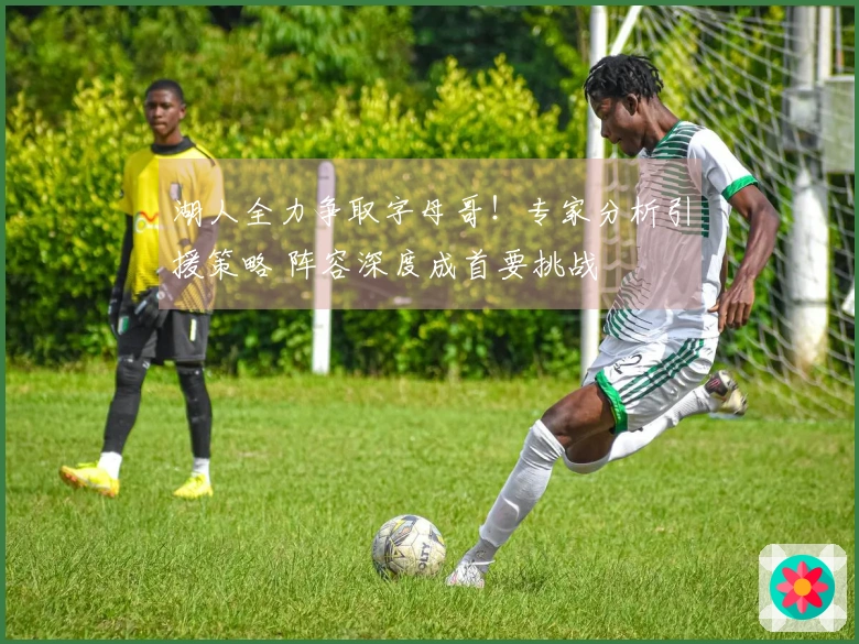 湖人全力争取字母哥！专家分析引援策略 阵容深度成首要挑战