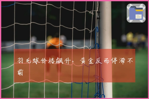 羽毛球价格飙升，黄金反而停滞不前