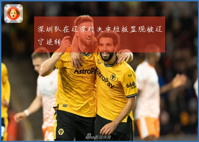 深圳队在辽深对决中短板显现被辽宁逆转
